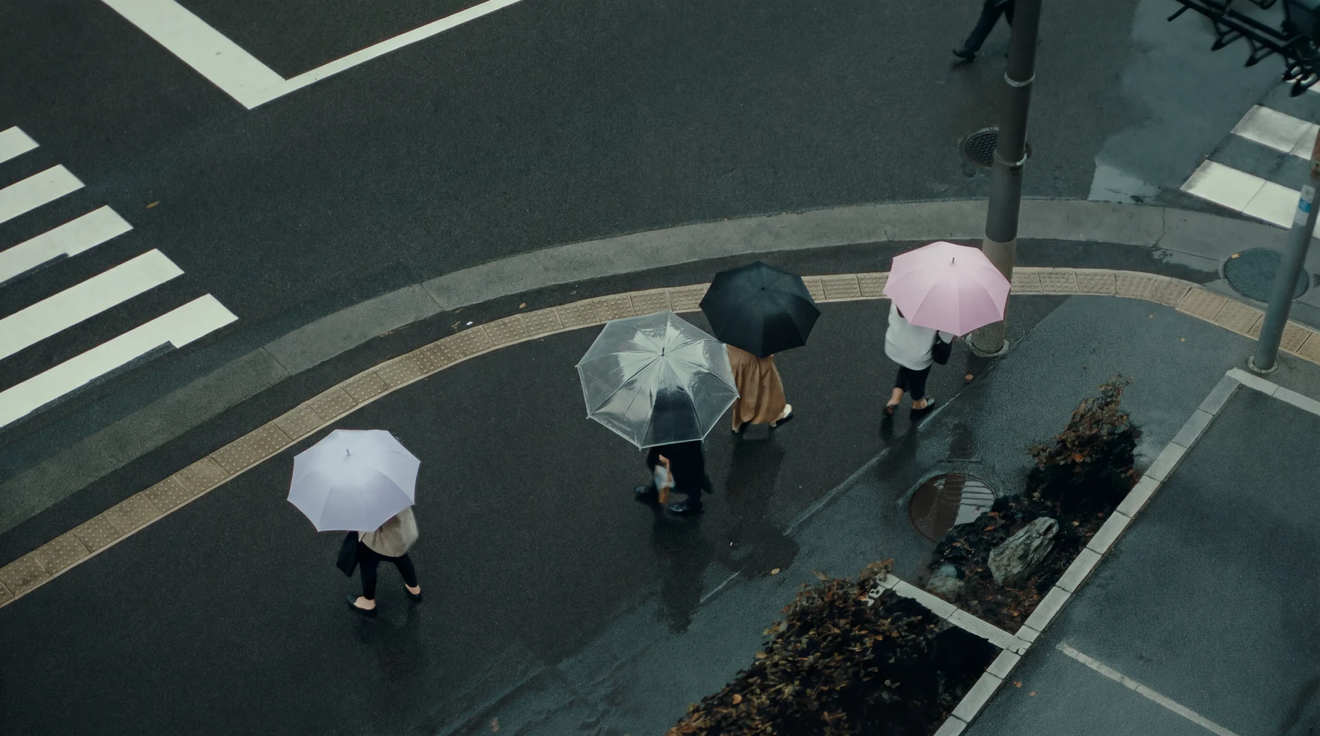 Top-down view of a rainy street with umbrellas